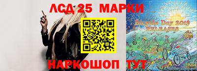 тгк Бийск
