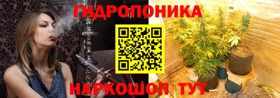 тгк Бийск