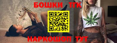тгк Бийск